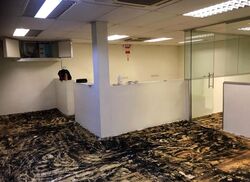 Leong Huat Building (D13), Factory #515955551